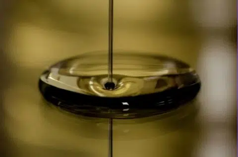 廃油の回収と再利用