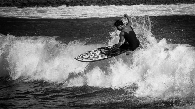 フォトギャラリー